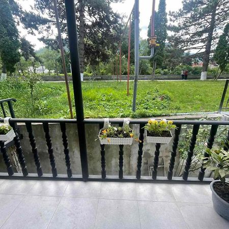 Apartmán New Bordžomi Exteriér fotografie